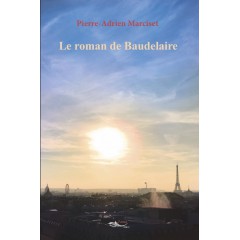 Le roman de Baudelaire - Tome 2