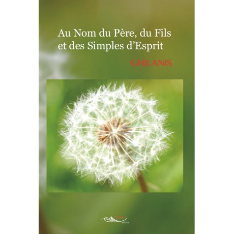 Au Nom du Père, du Fils et des Simples d'Esprit