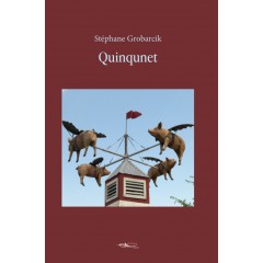 Quinqunet