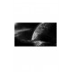 Solas
