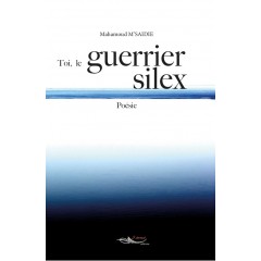 Toi, le guerrier silex