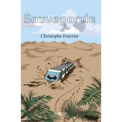 Sauvegarde