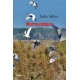 Murmurations