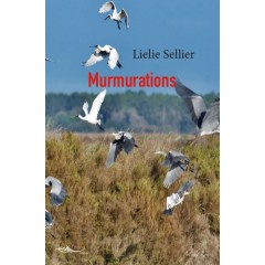 Murmurations