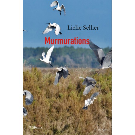 Murmurations