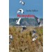 Murmurations