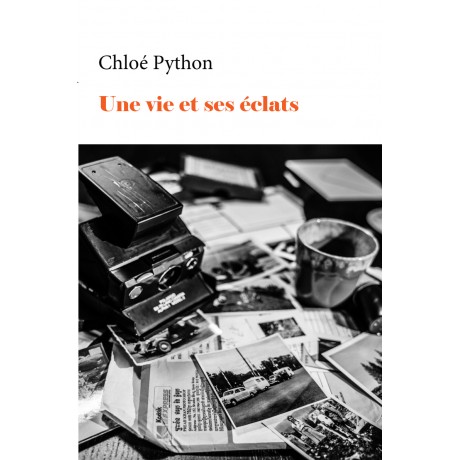 Une vie et ses éclats