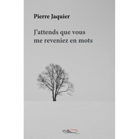 J'attends que vous me reveniez en mots