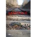 Saxifrage